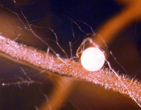 Contre vents et marees