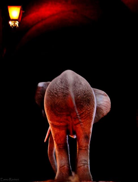 Moi, j'aime la Fête des Lumières (Lyon 2011)