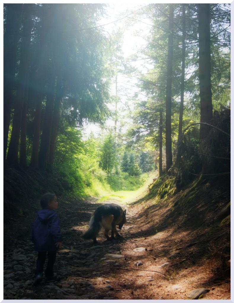 Invitation à la balade