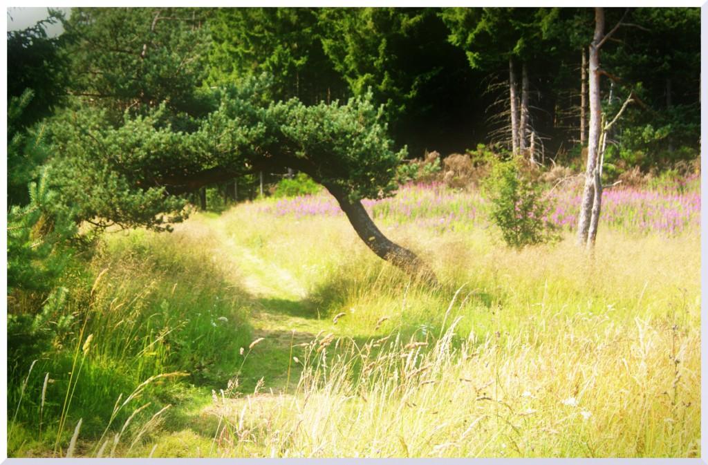 Invitation à la balade