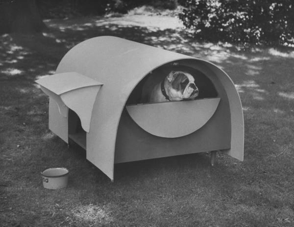 Nina Leen –  Maisons design pour chiens – 1956