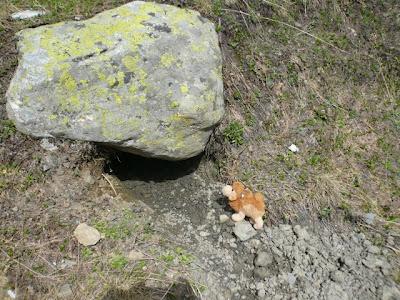 TMB étape 3 : La Croix du Bonhomme - Les Mottets