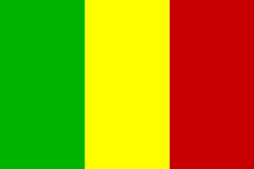 Renonciation à un Etat séparé des Touaregs du MNLA au Mali
