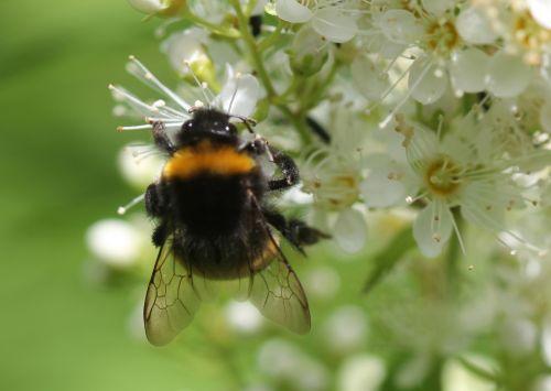 f romi 22 juin 2012 089.jpg