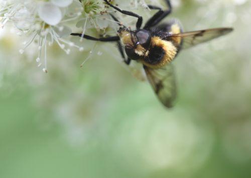 d romi 22 juin 2012 094.jpg