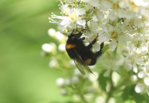 h romi 22 juin 2012 087.jpg