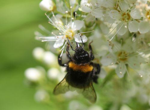 g romi 22 juin 2012 088.jpg