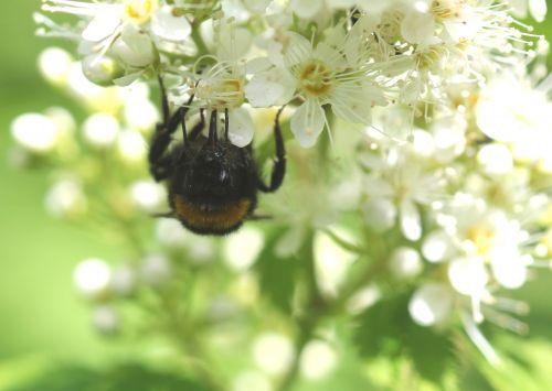 i romi 22 juin 2012 086.jpg