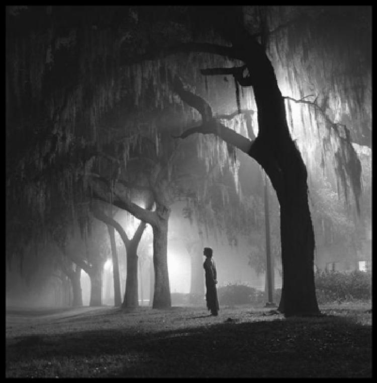 La peur, ce goût amer