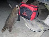 Merci pour bons mots tranche vie...