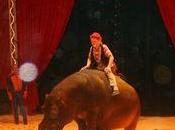 cirque chosification l'animal