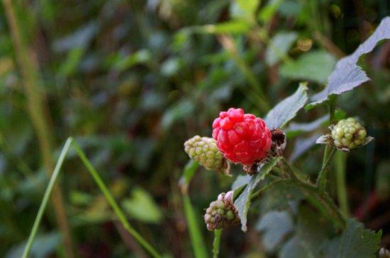 Vacances...j'oublie tout!