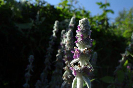 Vacances...j'oublie tout!