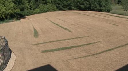 Etats-Unis : Une seance de jardinage horrifiante