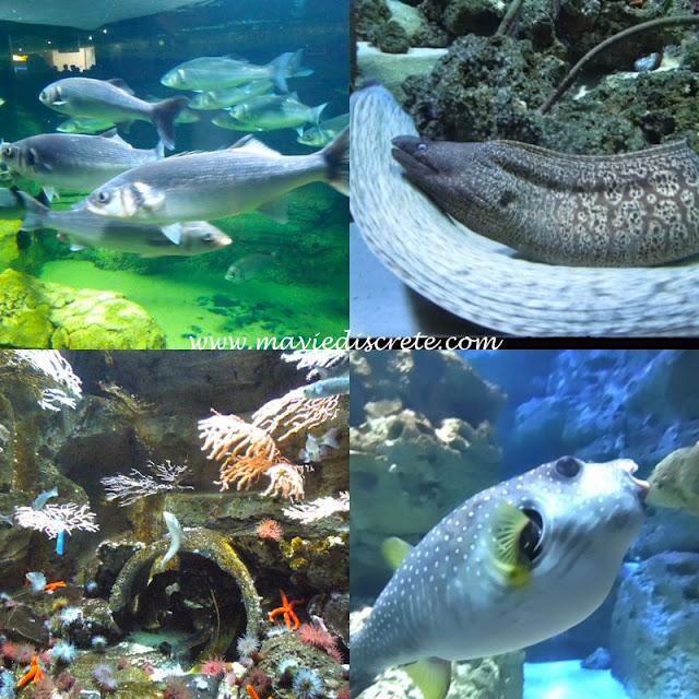 L'Aquarium de Paris.