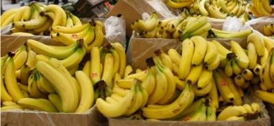 gênes,alimentation,population,planète,banane,économie,espèces