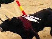 Incroyable Après barbaque toro, moelle épinière humaine pour Banque alimentaire