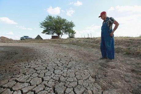 Aux Etats-unis, la pire sécheresse depuis 56 ans