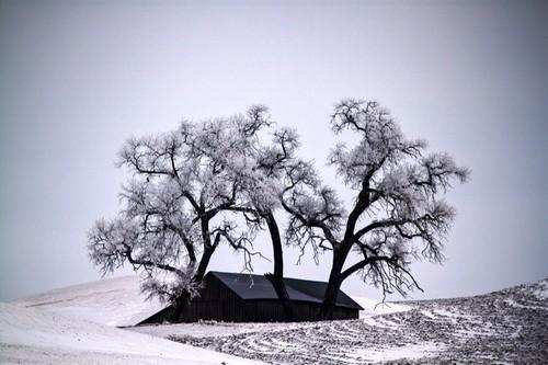 National Geographic : 30 photos magnifiques en compétition