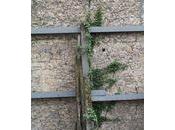 Zaccros d'ma rue, Nevers 2012