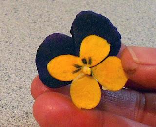 Les fleurs en pastillage