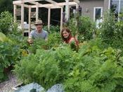 Controverse autour d’un potager Drummondville