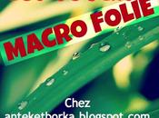 Macro Folie jeudi