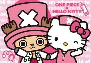 http://www.jaimehellokitty.com/images/Articles15/ONEPIECEKITTY.jpg