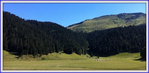 aspintour2012 116 14.jpg