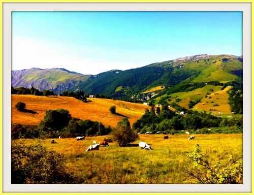 aspintour2012 121 16.jpg