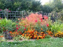 VACANCES : PREPAREZ VOTRE JARDIN