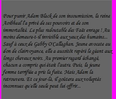 Les highlanders, tome 6 : La punition d'Adam Black