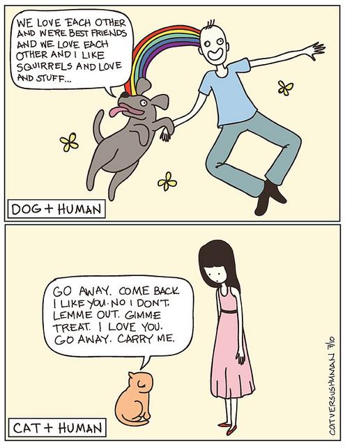 cat versus human – Un blog qui a du chat et du chien !
