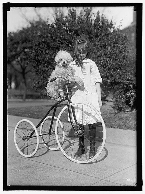 Pause Tricycle – 1911