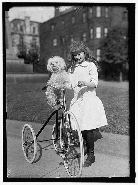 Pause Tricycle – 1911