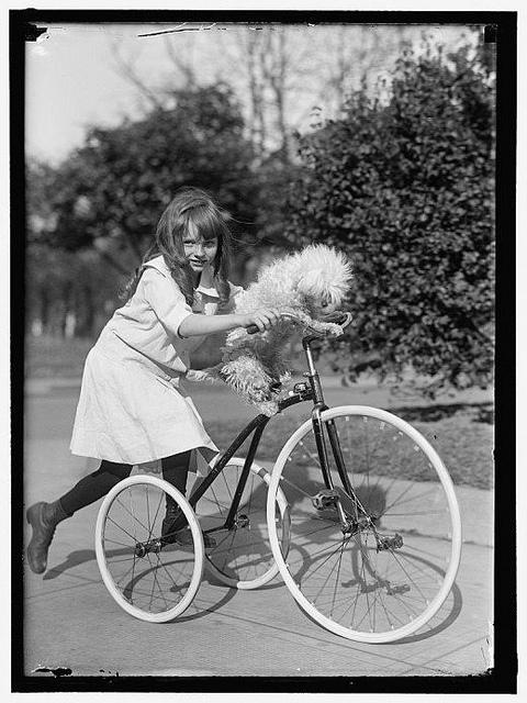 Pause Tricycle – 1911