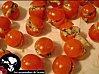 mini-tomates-crevettes.jpg