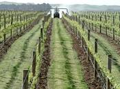 Nouvelle-Zélande, agriculteurs veulent subventions