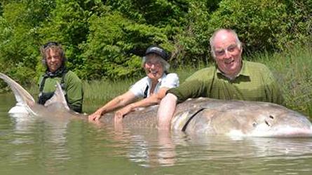 Toute une histoire de pêche!