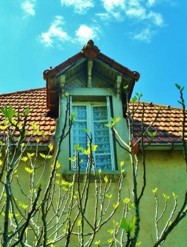 Description de passage n°28: la fenêtre du rêve fenêtre, chien-assis, maison, rideaux, appui de fenêtre, toit, toiture, tuiles