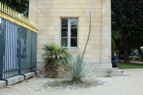 1 paris 23 juin 2012 468.jpg