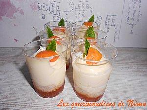 verrines-conf-abricots.JPG