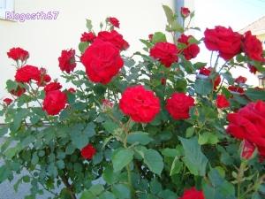 Promesses (plus ou moins) tenues…