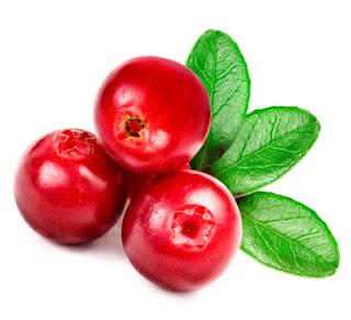 L'huile de pépins de canneberge (cranberry), antioxydante par excellence
