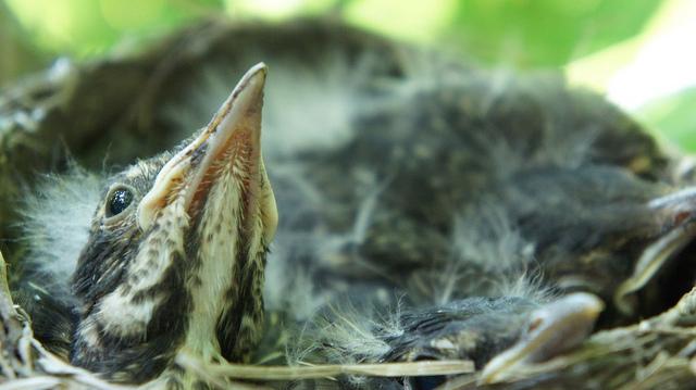 anteketborka.blogspot.com, new8