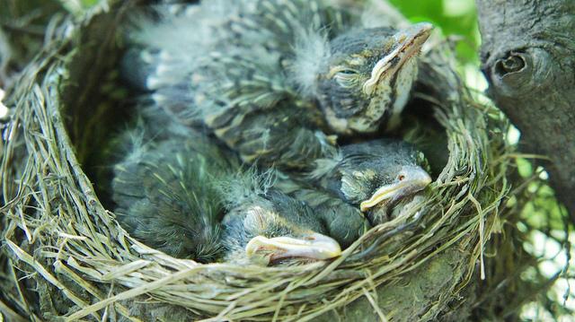 anteketborka.blogspot.com, new3