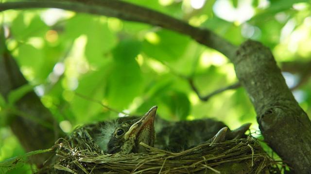 anteketborka.blogspot.com, new11