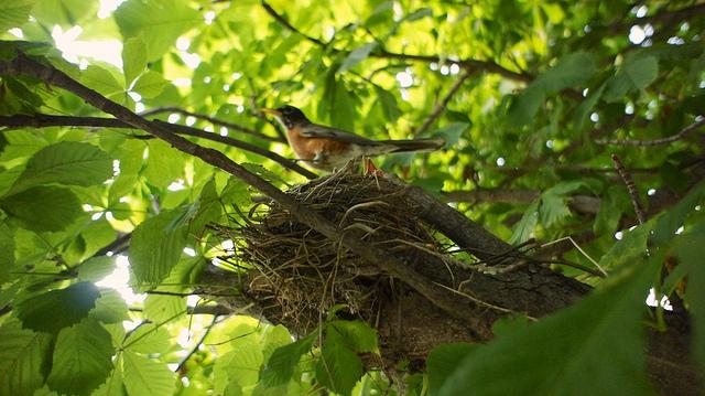 anteketborka.blogspot.com, new4