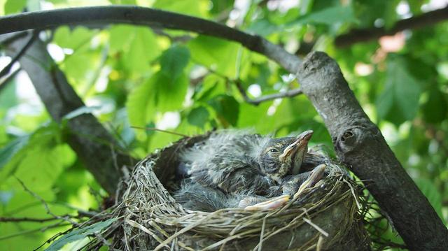 anteketborka.blogspot.com, new2