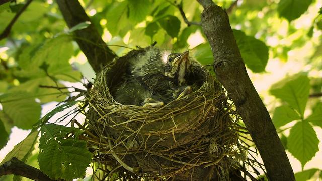 anteketborka.blogspot.com,new1